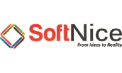 softnice logo digital marketing course in Aligarh