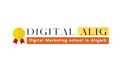 Aligarh Institute of Digital Marketing Digital Marketing Courses in Aligarh